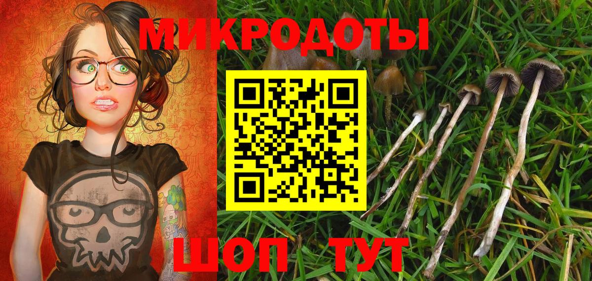 Галлюциногенные грибы Psilocybine cubensis  Псилоцибиновые грибы Psilocybe  Вход с VPN  Избербаш 
